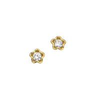 Ohrstecker aus 8 Karat (333) Gold gelb Zirkonia BOS305321