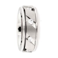 Ring aus Titan mit Zirkonia-Steinchen PTS136