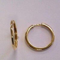Scharniercreolen aus 8 Karat (333) Gelbgold