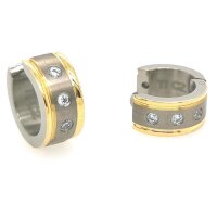 Ohringe Scharnier-Creolen aus Titan bicolor mit Zirkonia...