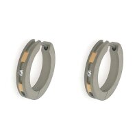 Ohringe Scharnier-Creolen aus Titan bicolor mit Zirkonia...