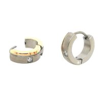 Ohringe Scharnier-Creolen aus Titan mit Zirkonia...