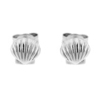 Ohrstecker Muschel aus 925 Sterling Silber