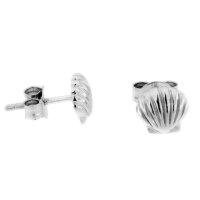 Ohrstecker Muschel aus 925 Sterling Silber