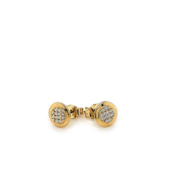 Ohrstecker aus 8 Karat (333) Gelbgold 20880736