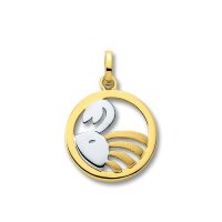 Anhänger Sternzeichen Krebs Gold 333