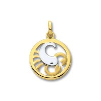 Anhänger Sternzeichen Skorpion Gold 333