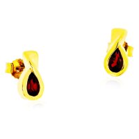 Damen-Ohrstecker aus 8 Karat (333) Gelbgold 13-117267